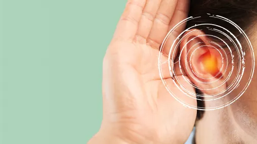 La Cochlée : l’organe de l’audition